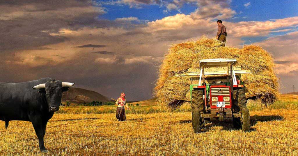 tarim-ve-hayvancilik